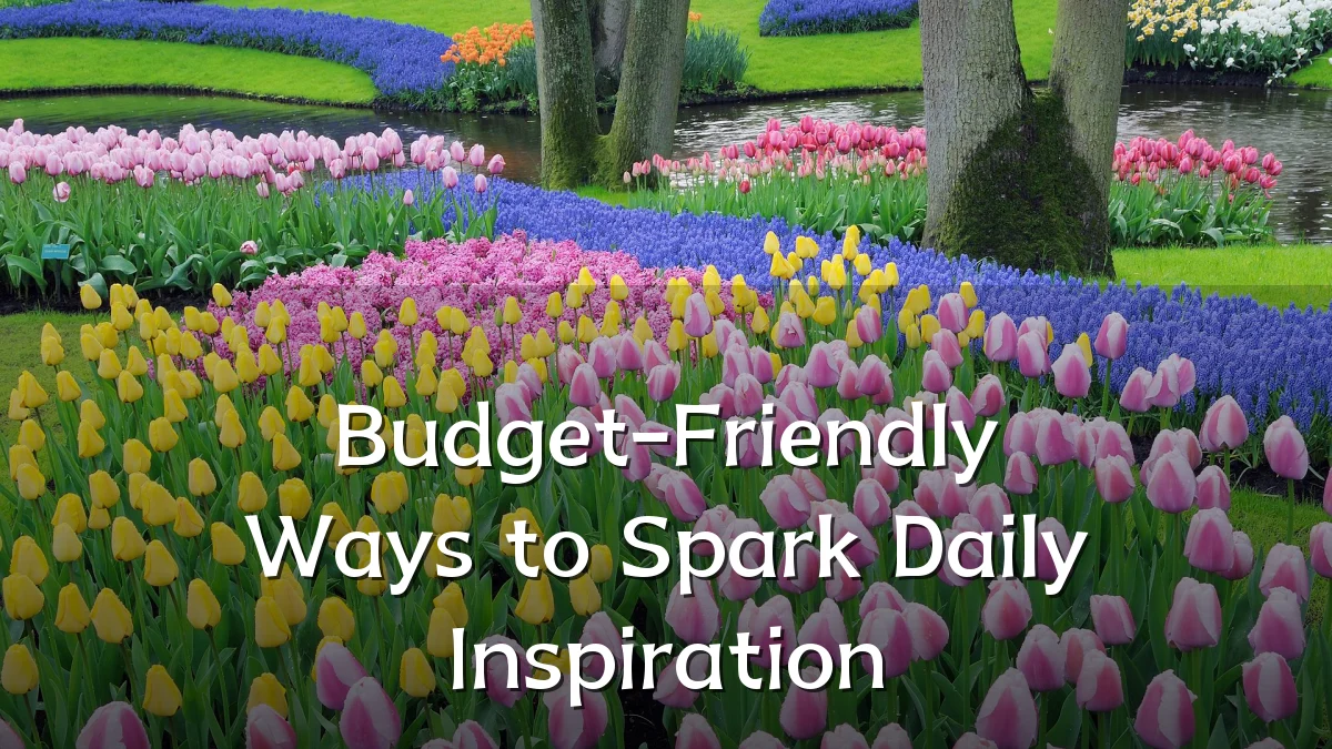 Budget-Friendly Ways to Spark Daily Inspiration