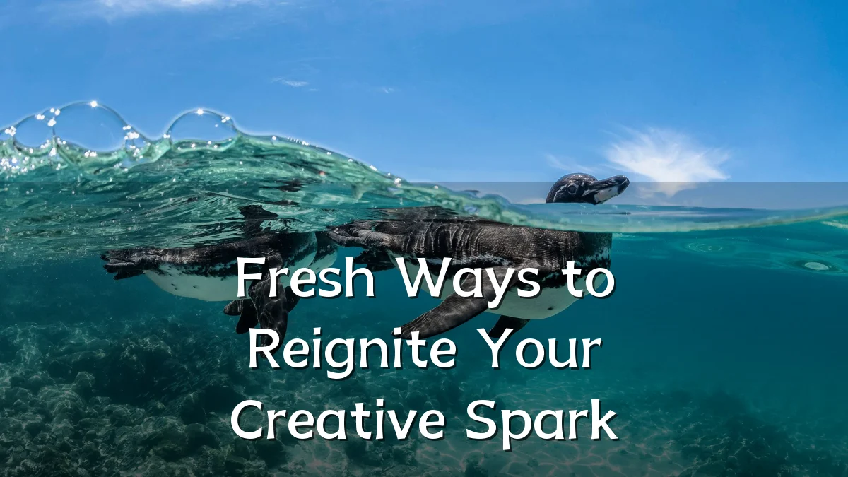 Fresh Ways to Reignite Your Creative Spark