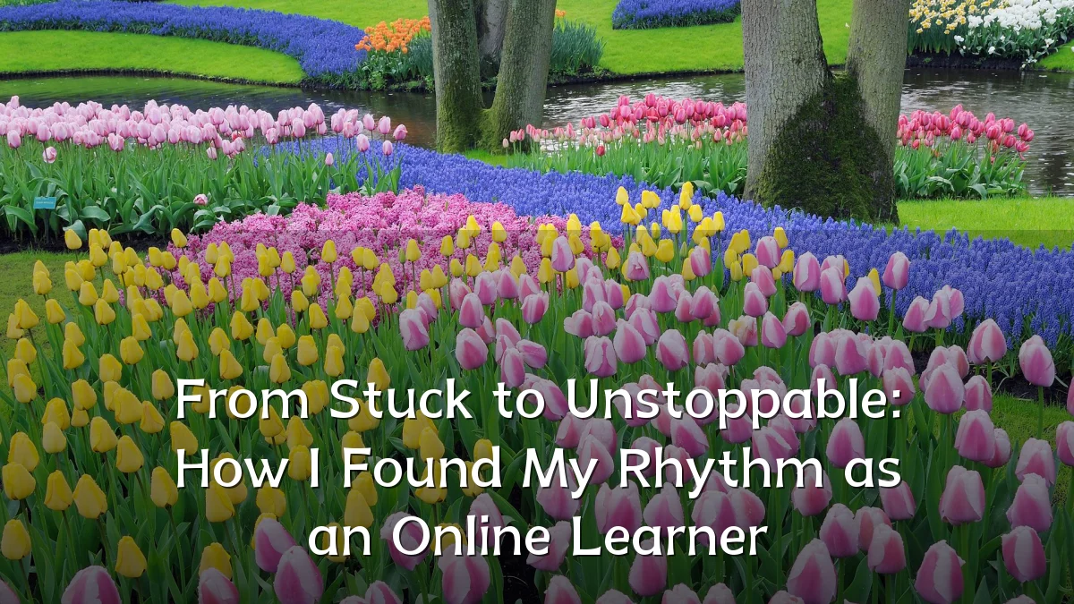 From Stuck to Unstoppable: How I Found My Rhythm as an Online Learner