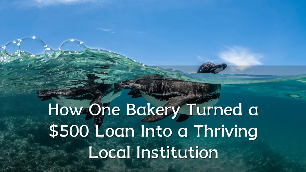 How One Bakery Turned a $500 Loan Into a Thriving Local Institution