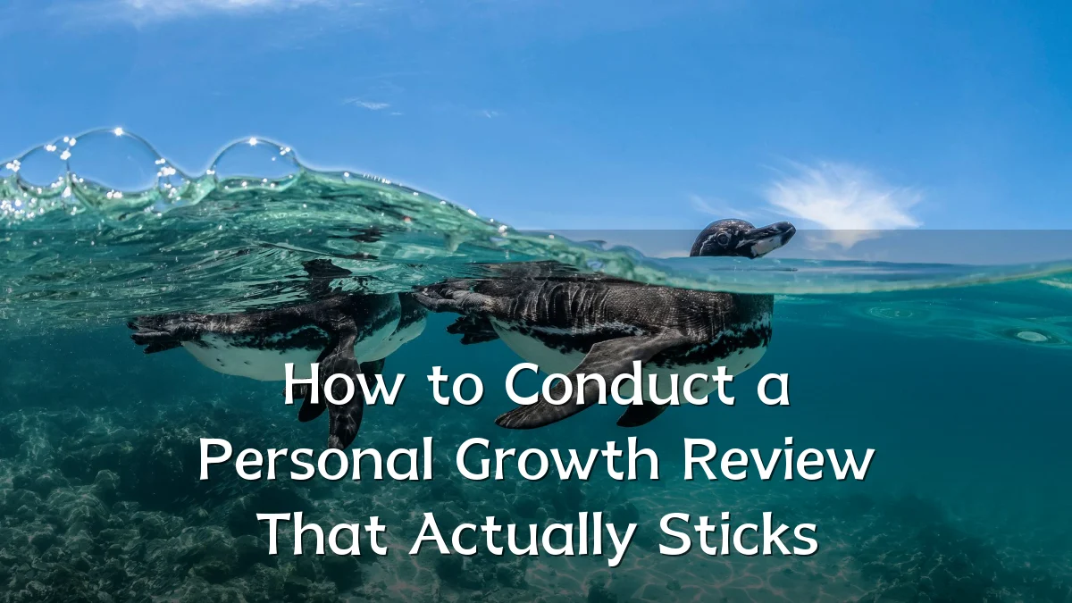 How to Conduct a Personal Growth Review That Actually Sticks