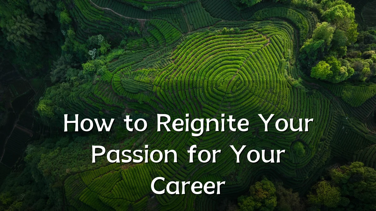 How to Reignite Your Passion for Your Career