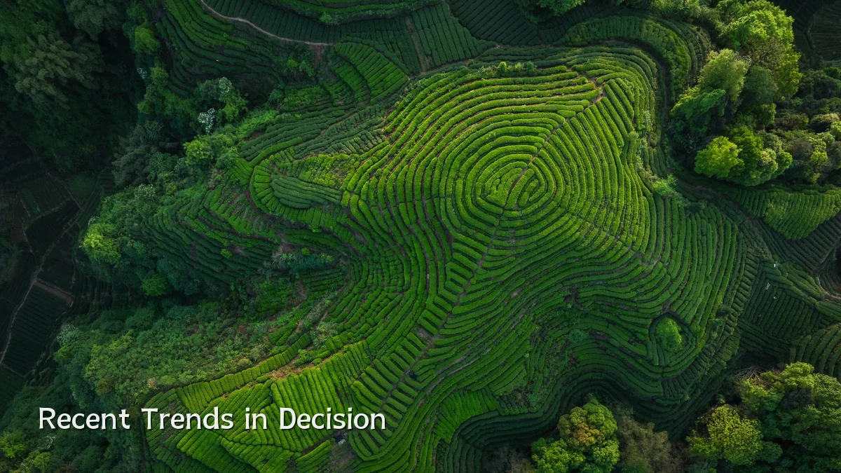 Recent Trends in Decision