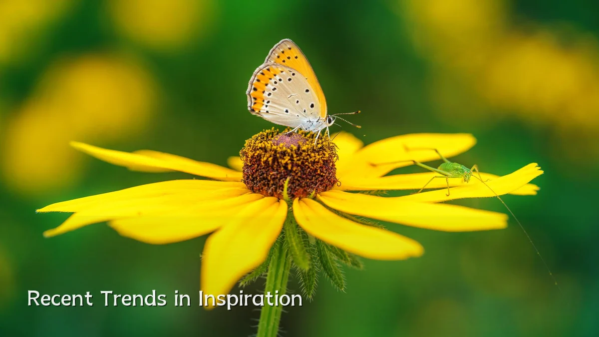 Recent Trends in Inspiration