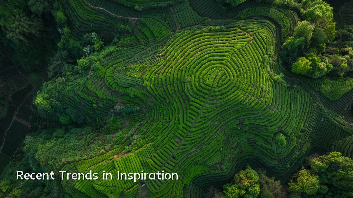Recent Trends in Inspiration