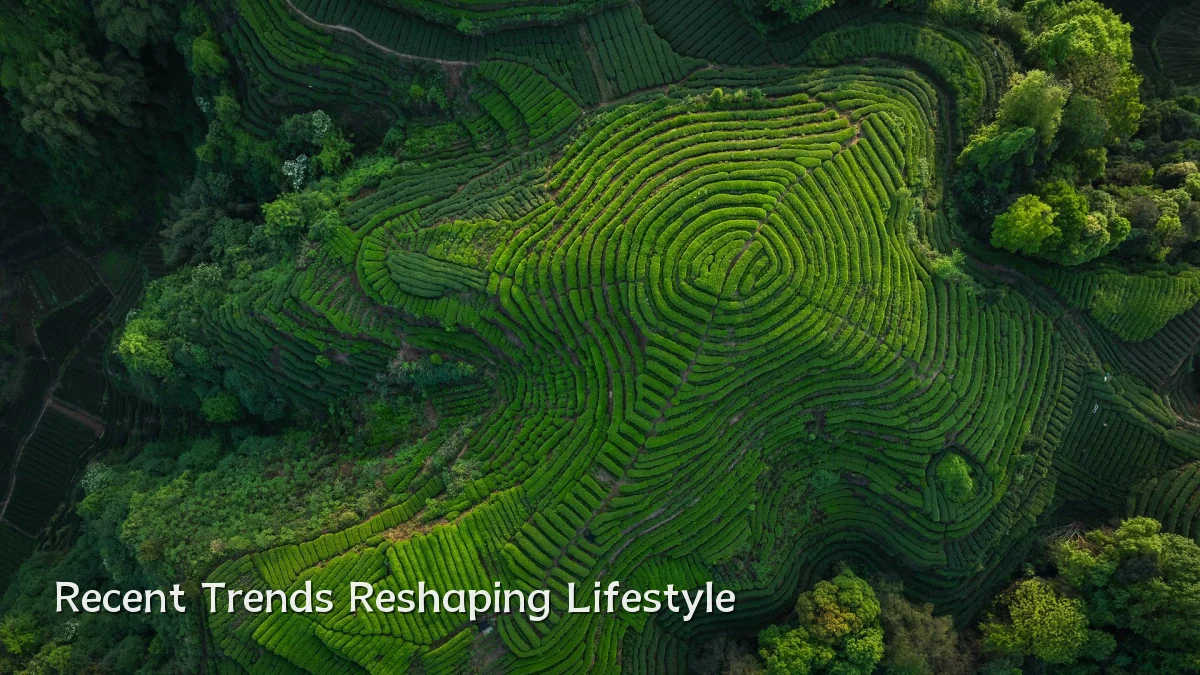 Recent Trends Reshaping Lifestyle