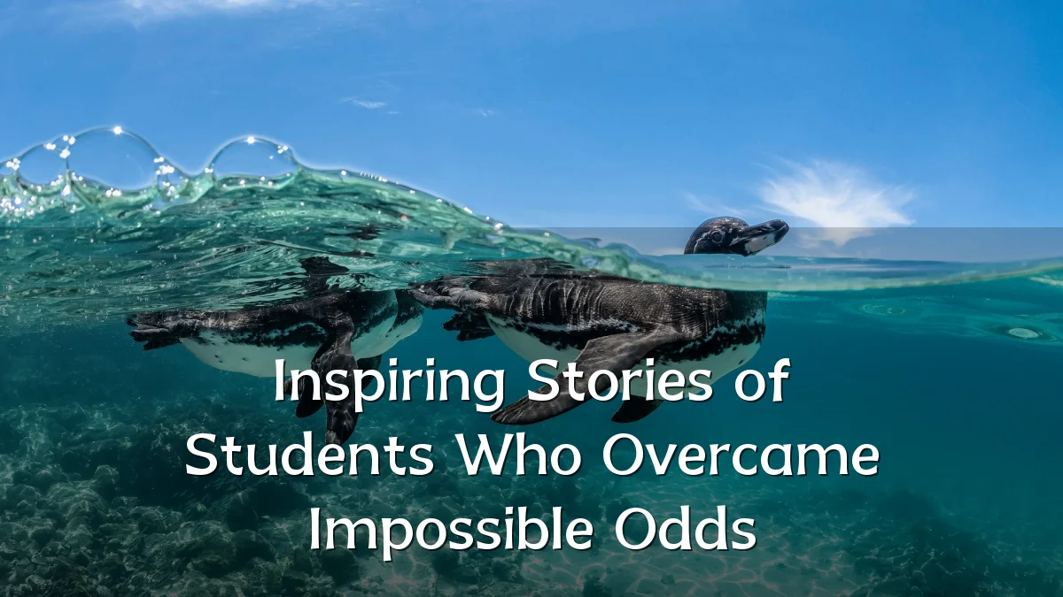 Inspiring Stories of Students Who Overcame Impossible Odds