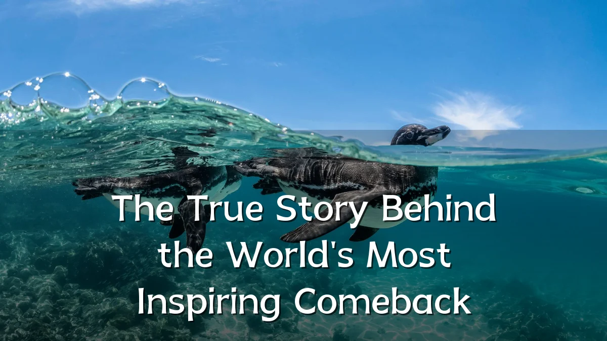 The True Story Behind the World's Most Inspiring Comeback
