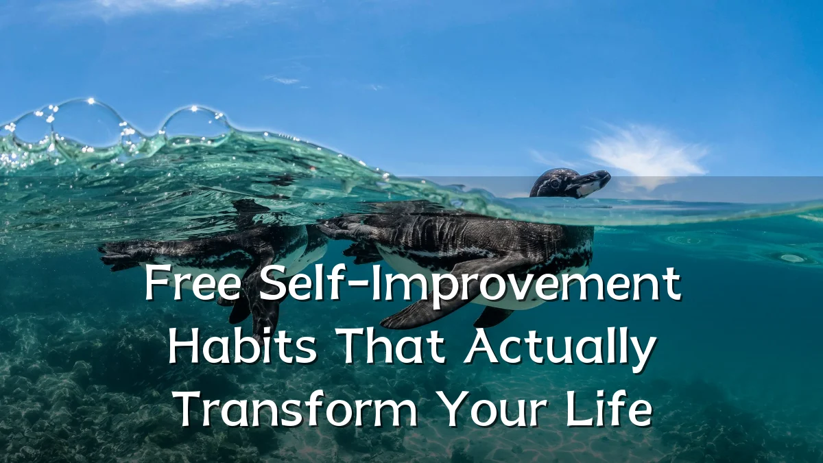 Free Self-Improvement Habits That Actually Transform Your Life