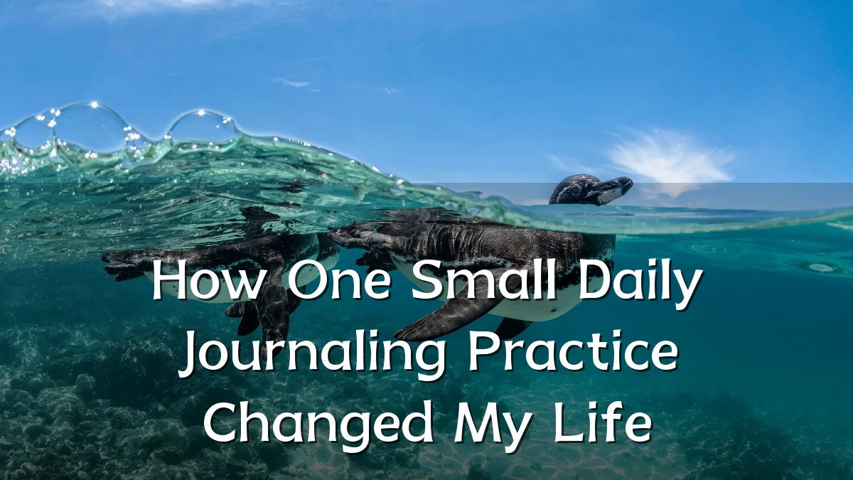 How One Small Daily Journaling Practice Changed My Life