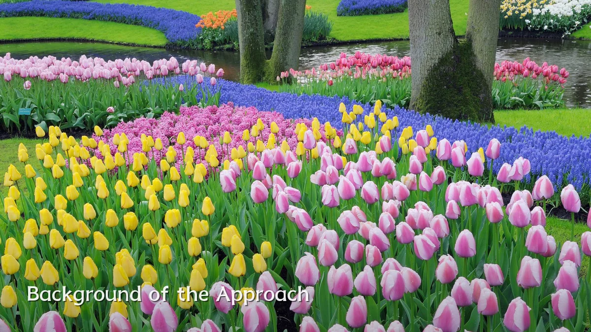Background of the Approach