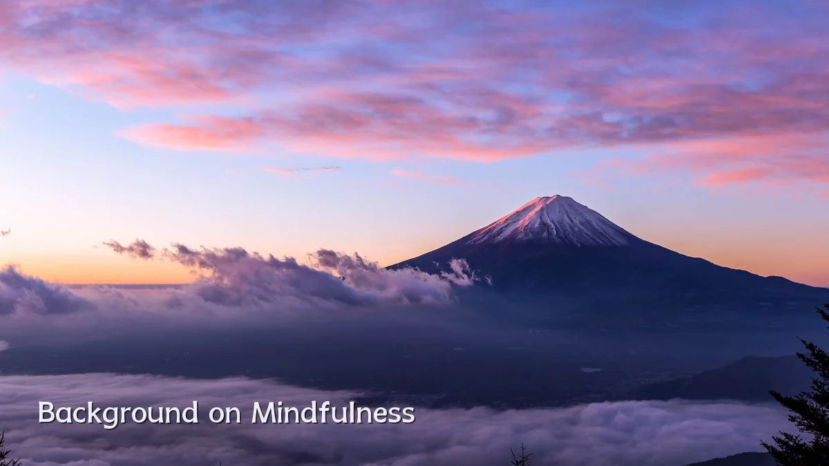 Background on Mindfulness