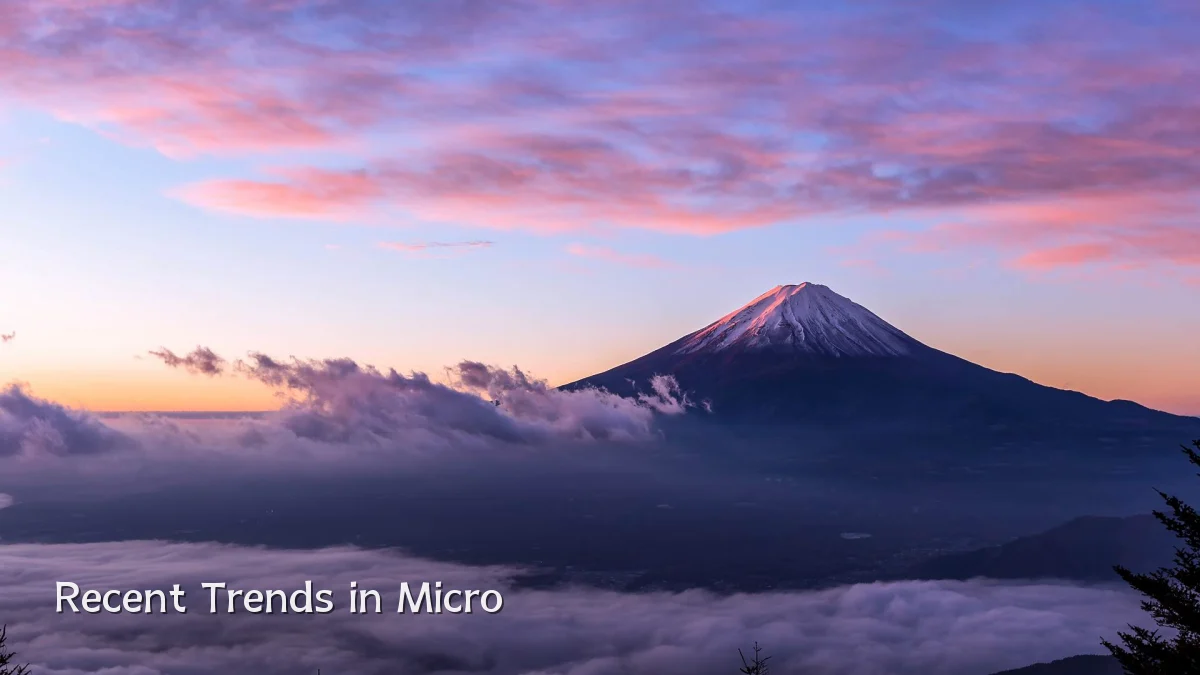 Recent Trends in Micro