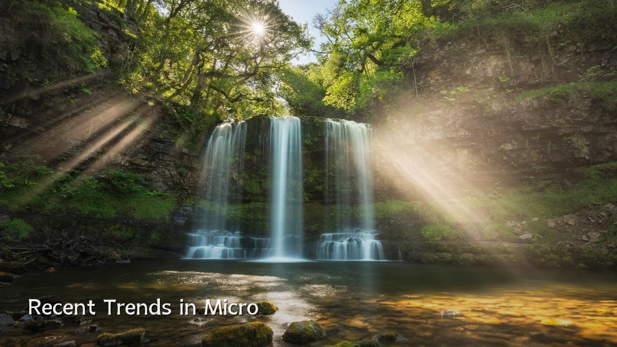 Recent Trends in Micro