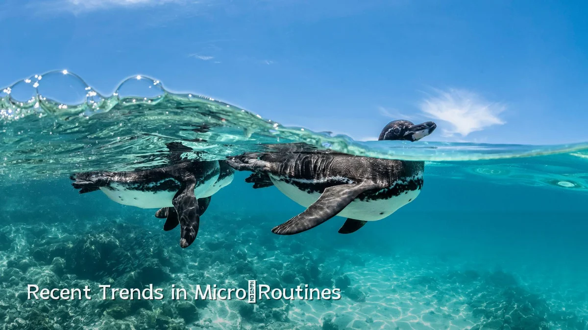 Recent Trends in Micro‑Routines