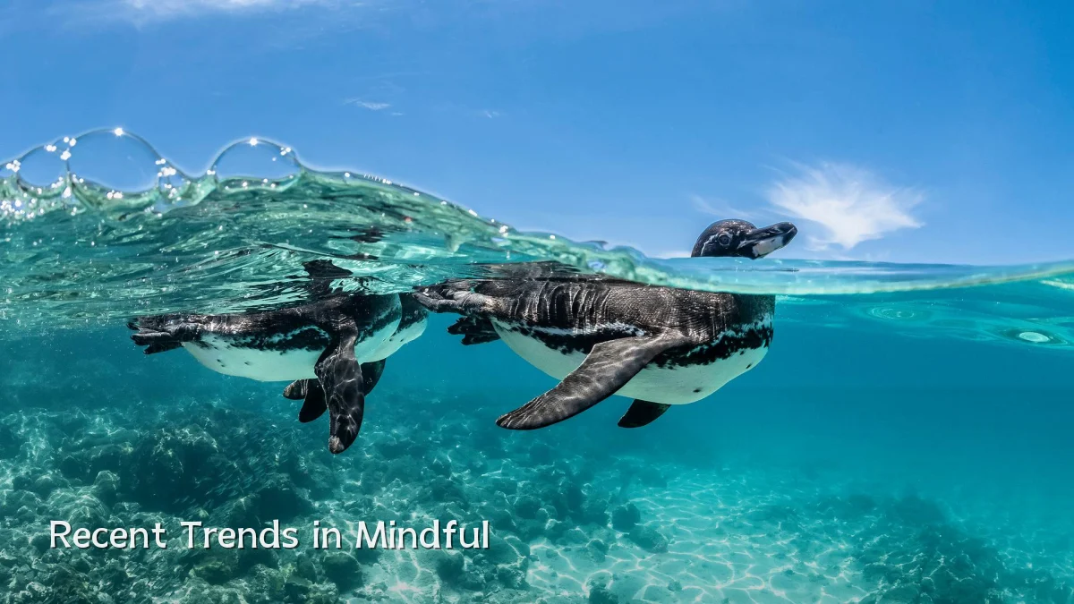 Recent Trends in Mindful