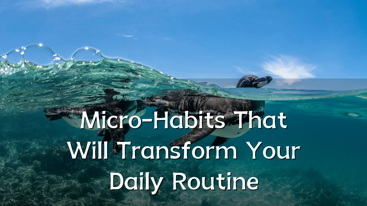 Micro-Habits That Will Transform Your Daily Routine