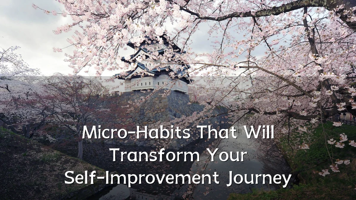 Micro-Habits That Will Transform Your Self-Improvement Journey