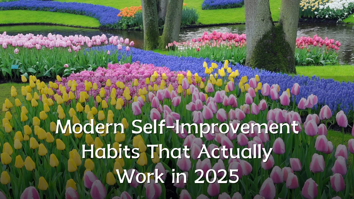 Modern Self-Improvement Habits That Actually Work in 2025
