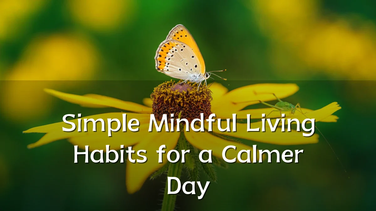 Simple Mindful Living Habits for a Calmer Day