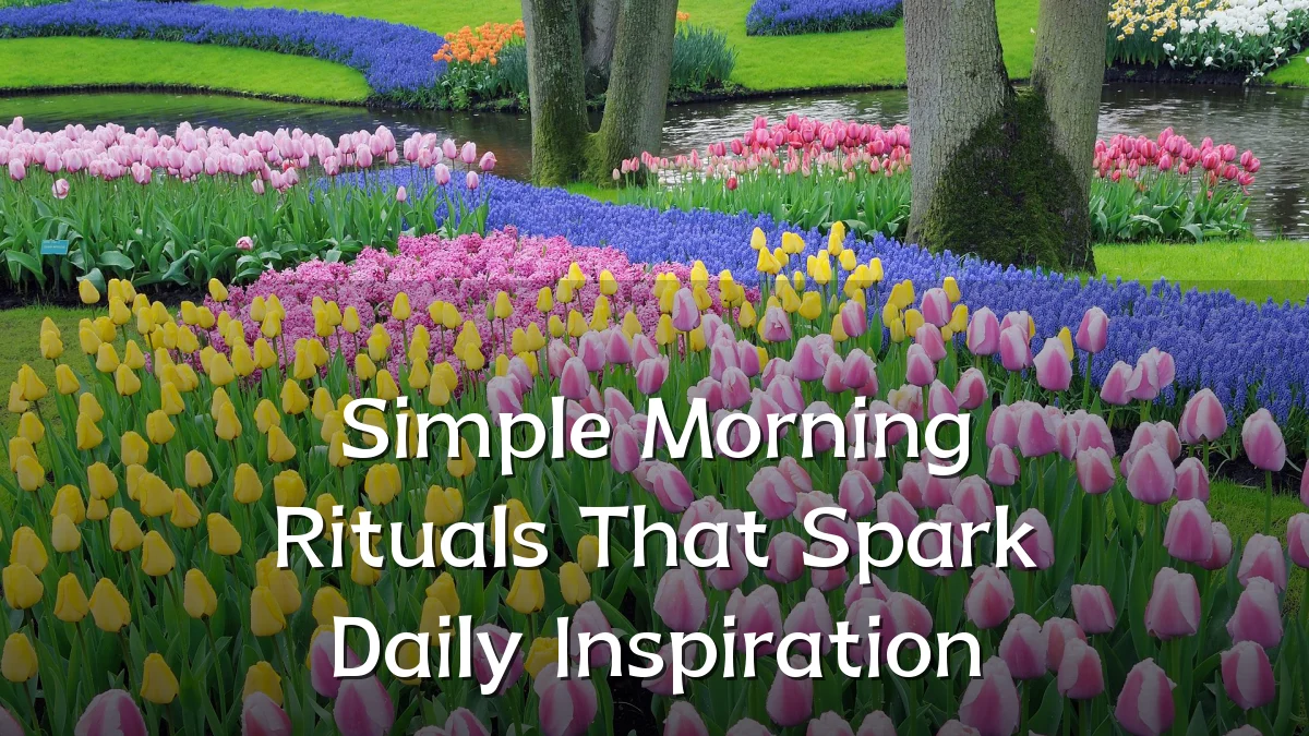 Simple Morning Rituals That Spark Daily Inspiration