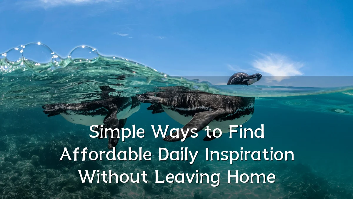 Simple Ways to Find Affordable Daily Inspiration Without Leaving Home