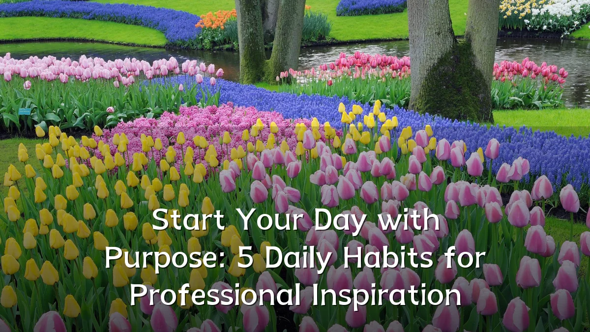 Start Your Day with Purpose: 5 Daily Habits for Professional Inspiration
