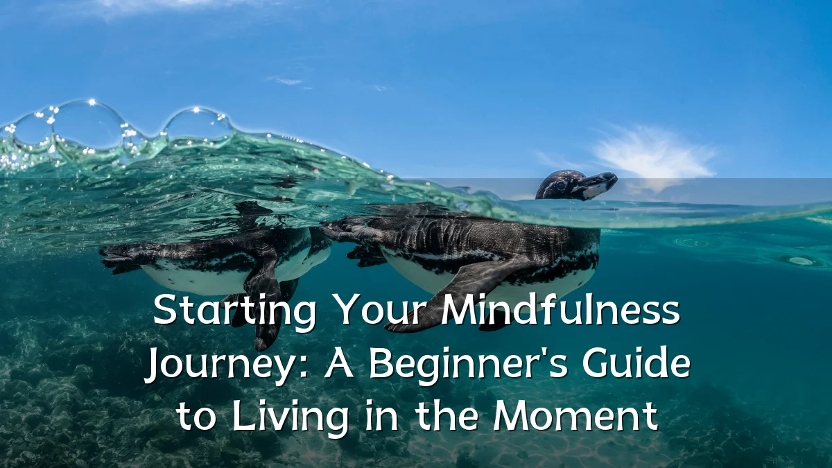 Starting Your Mindfulness Journey: A Beginner's Guide to Living in the Moment