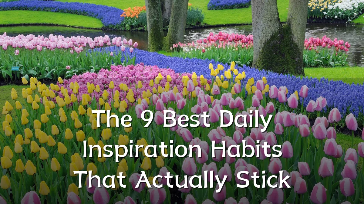 The 9 Best Daily Inspiration Habits That Actually Stick
