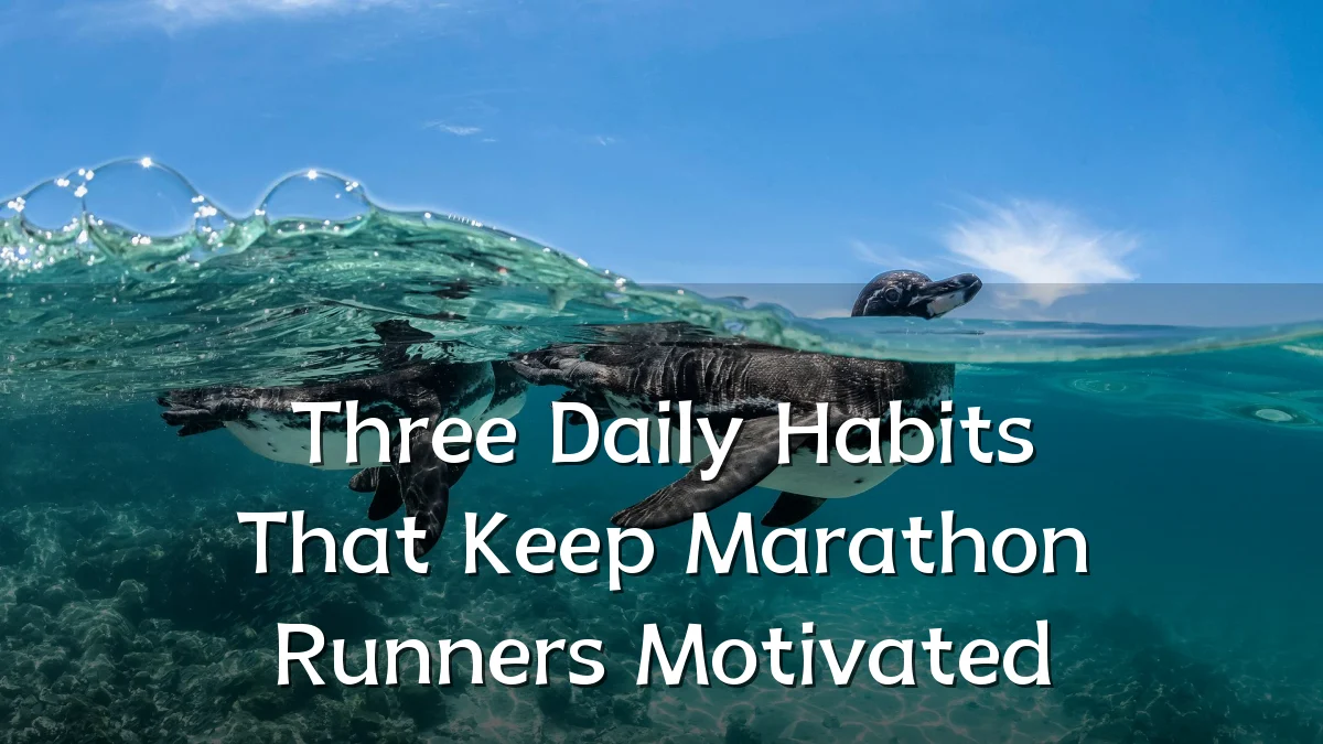 Three Daily Habits That Keep Marathon Runners Motivated